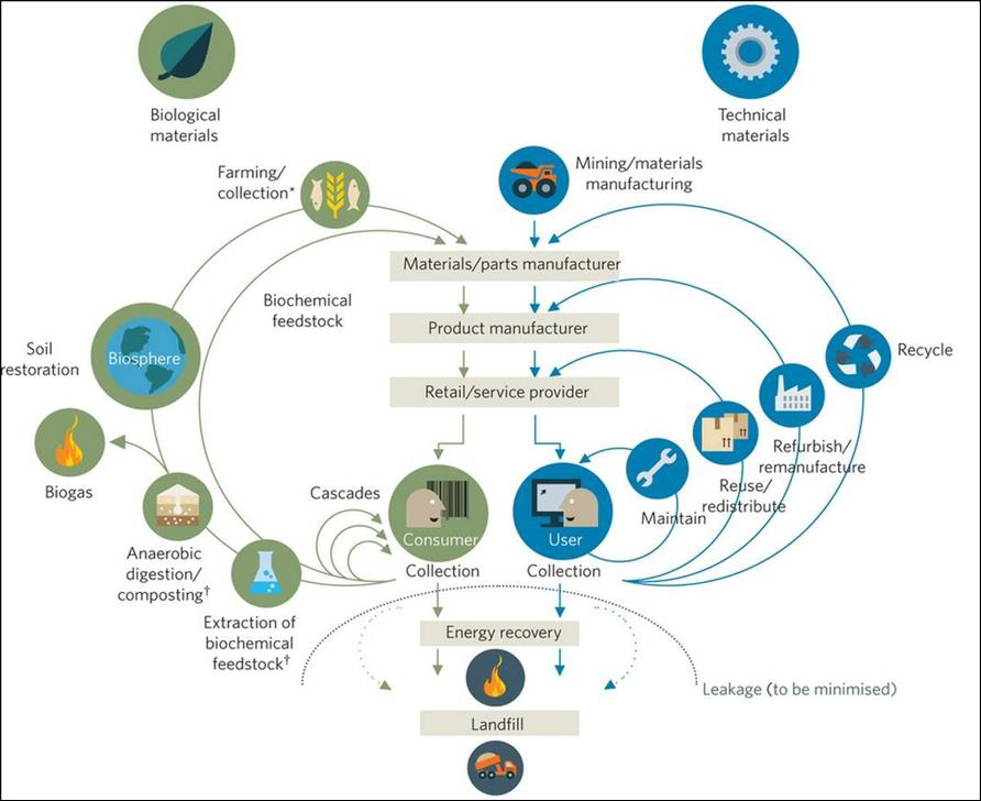 Circularity Index